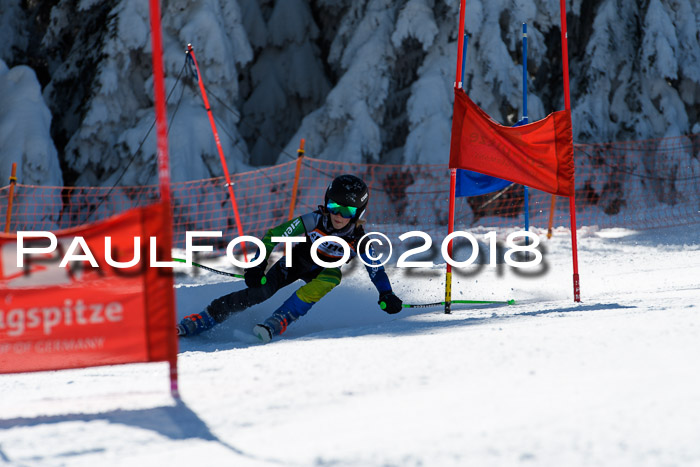 Ziener Cup WF, Finale, Quali + Parallelslalom, 24.03.2018