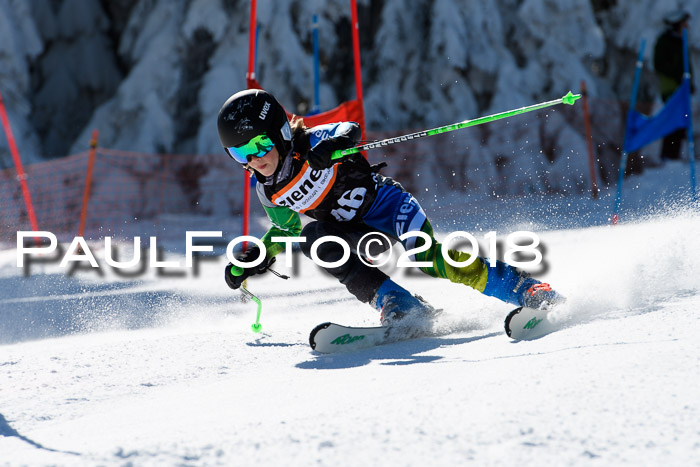 Ziener Cup WF, Finale, Quali + Parallelslalom, 24.03.2018