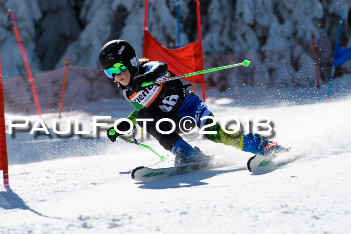 Ziener Cup WF, Finale, Quali + Parallelslalom, 24.03.2018