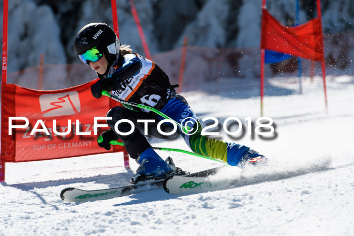 Ziener Cup WF, Finale, Quali + Parallelslalom, 24.03.2018