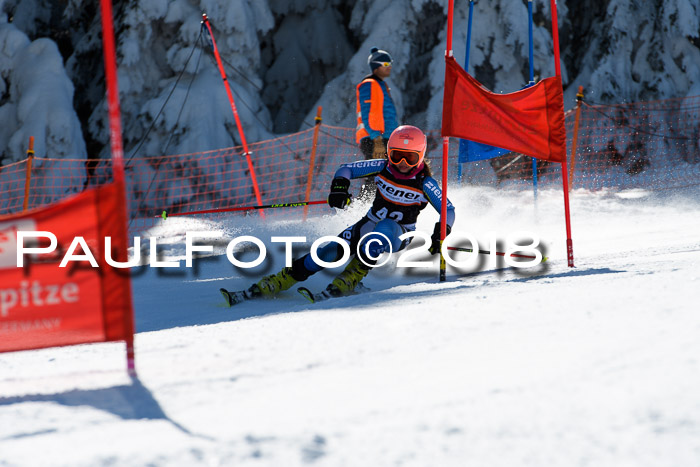 Ziener Cup WF, Finale, Quali + Parallelslalom, 24.03.2018