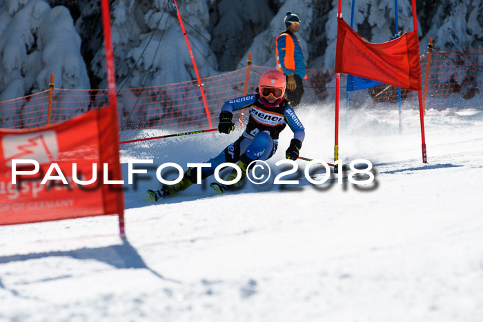 Ziener Cup WF, Finale, Quali + Parallelslalom, 24.03.2018