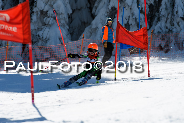 Ziener Cup WF, Finale, Quali + Parallelslalom, 24.03.2018