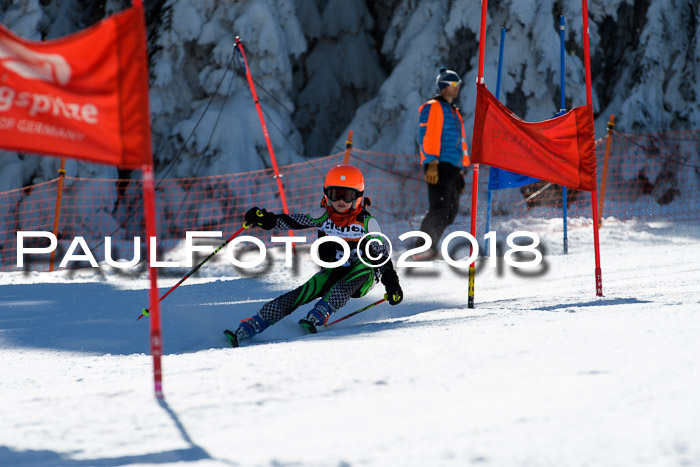 Ziener Cup WF, Finale, Quali + Parallelslalom, 24.03.2018