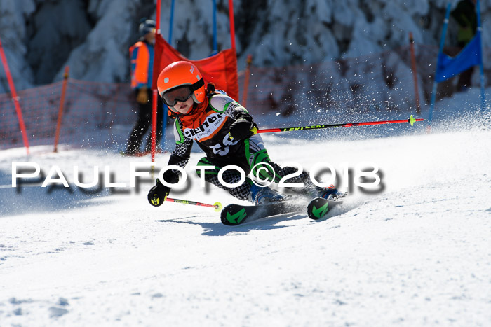 Ziener Cup WF, Finale, Quali + Parallelslalom, 24.03.2018