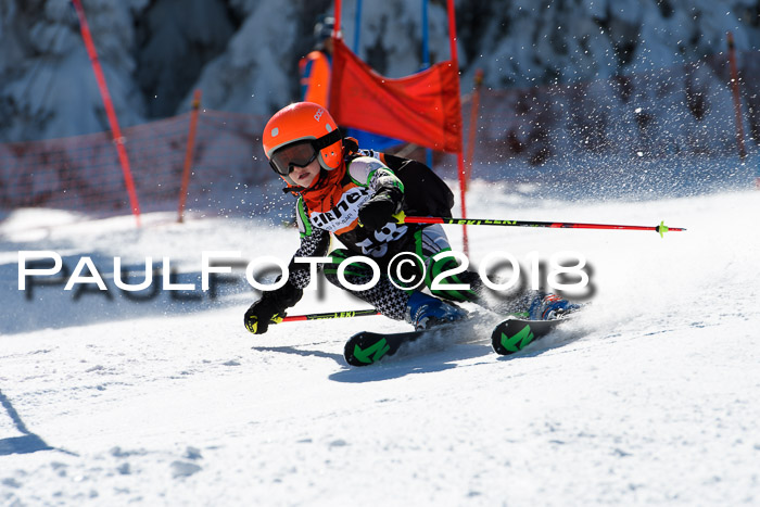 Ziener Cup WF, Finale, Quali + Parallelslalom, 24.03.2018