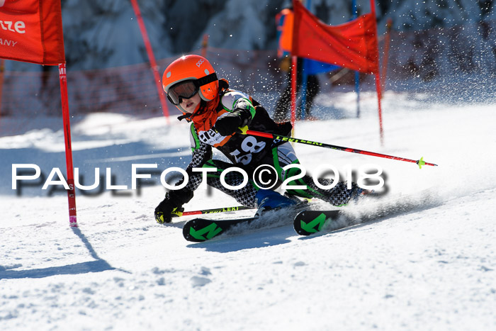 Ziener Cup WF, Finale, Quali + Parallelslalom, 24.03.2018