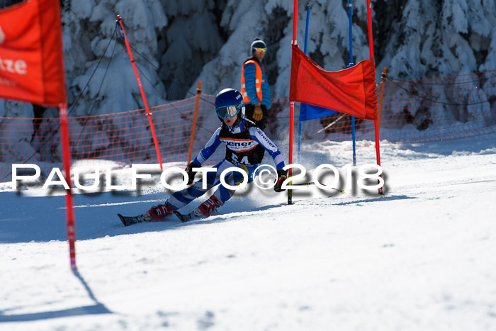Ziener Cup WF, Finale, Quali + Parallelslalom, 24.03.2018