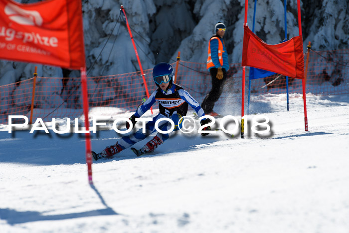 Ziener Cup WF, Finale, Quali + Parallelslalom, 24.03.2018