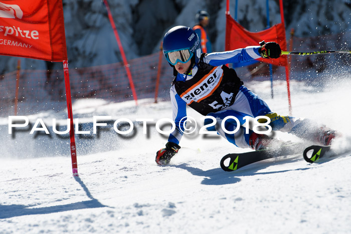 Ziener Cup WF, Finale, Quali + Parallelslalom, 24.03.2018