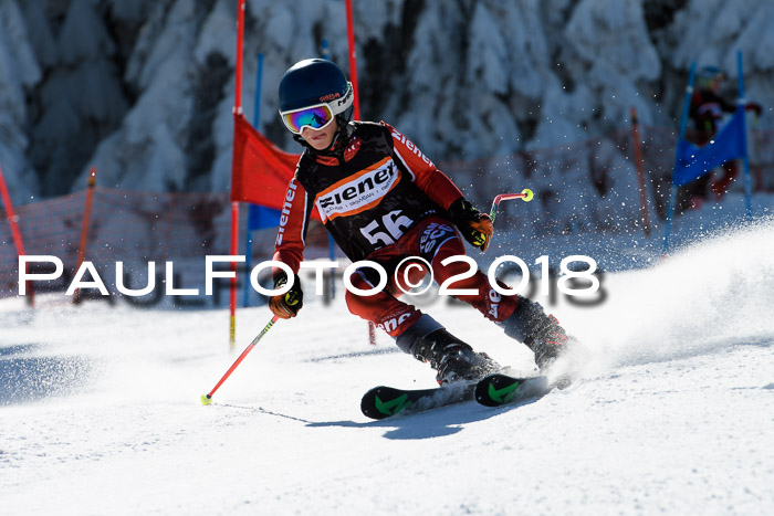 Ziener Cup WF, Finale, Quali + Parallelslalom, 24.03.2018