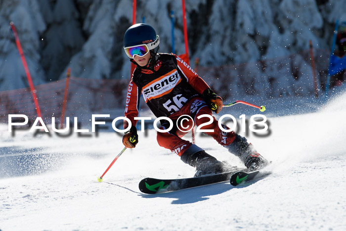 Ziener Cup WF, Finale, Quali + Parallelslalom, 24.03.2018