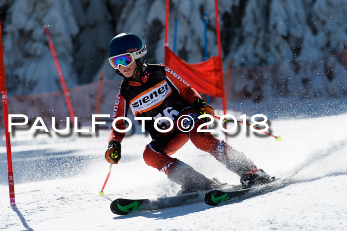 Ziener Cup WF, Finale, Quali + Parallelslalom, 24.03.2018