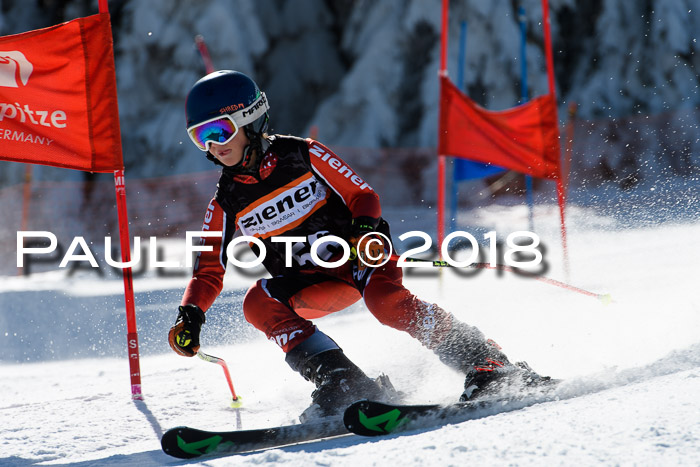 Ziener Cup WF, Finale, Quali + Parallelslalom, 24.03.2018