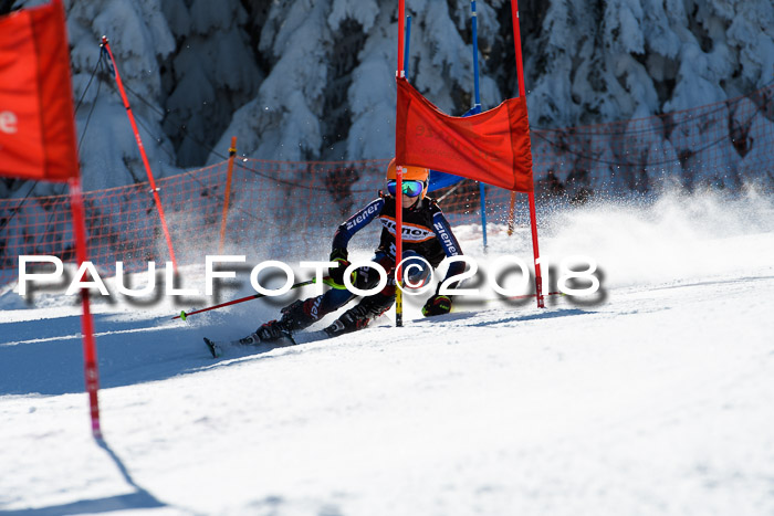 Ziener Cup WF, Finale, Quali + Parallelslalom, 24.03.2018