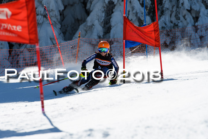 Ziener Cup WF, Finale, Quali + Parallelslalom, 24.03.2018