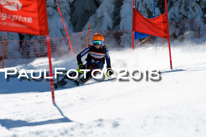 Ziener Cup WF, Finale, Quali + Parallelslalom, 24.03.2018