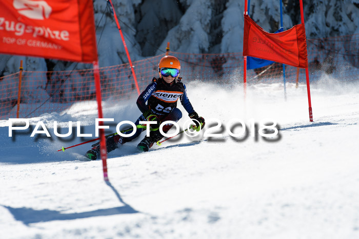 Ziener Cup WF, Finale, Quali + Parallelslalom, 24.03.2018