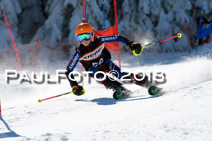 Ziener Cup WF, Finale, Quali + Parallelslalom, 24.03.2018