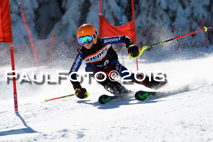 Ziener Cup WF, Finale, Quali + Parallelslalom, 24.03.2018