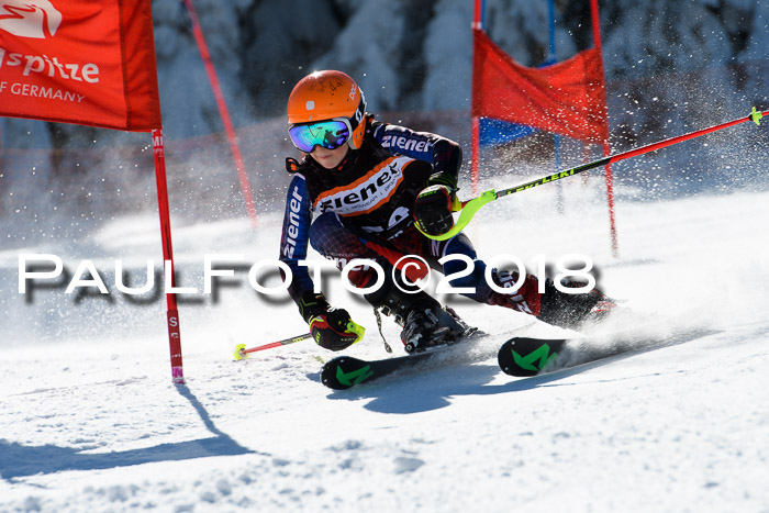 Ziener Cup WF, Finale, Quali + Parallelslalom, 24.03.2018