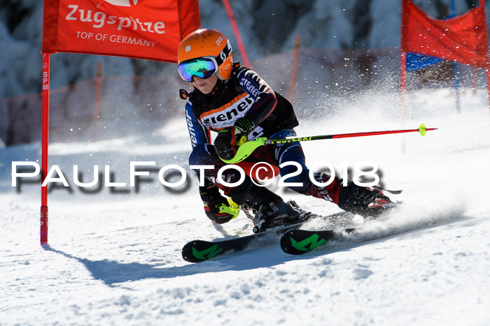 Ziener Cup WF, Finale, Quali + Parallelslalom, 24.03.2018
