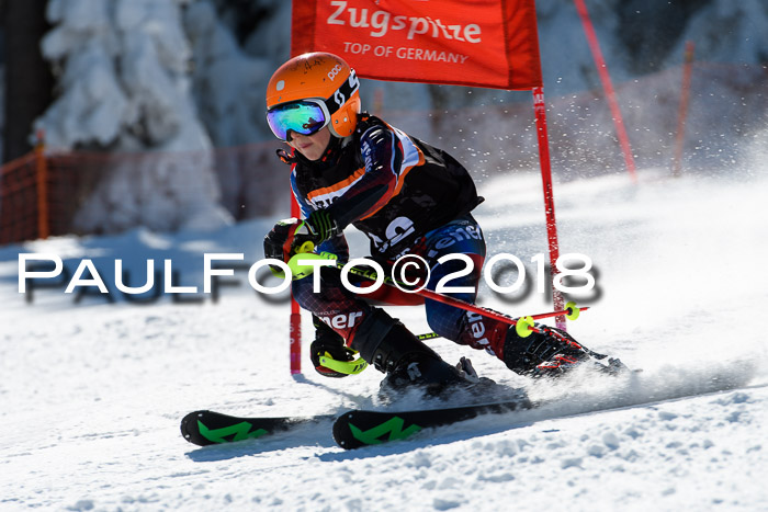 Ziener Cup WF, Finale, Quali + Parallelslalom, 24.03.2018
