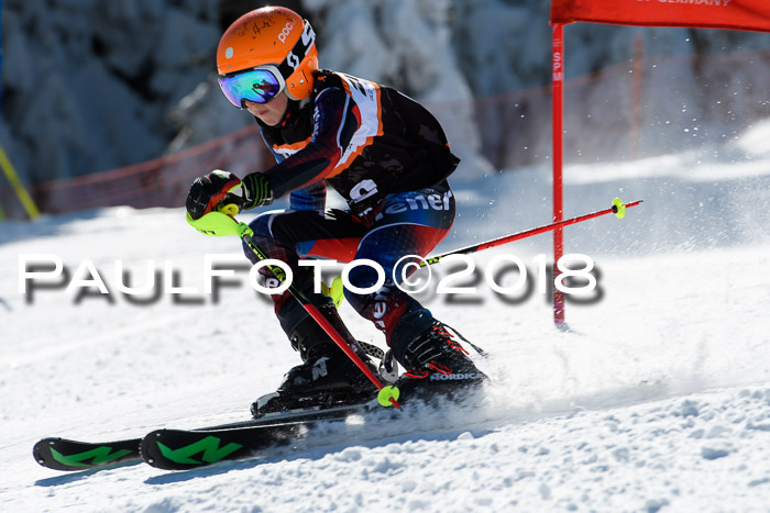 Ziener Cup WF, Finale, Quali + Parallelslalom, 24.03.2018