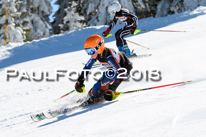 Ziener Cup WF, Finale, Quali + Parallelslalom, 24.03.2018