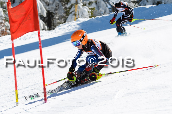 Ziener Cup WF, Finale, Quali + Parallelslalom, 24.03.2018