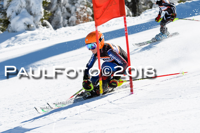 Ziener Cup WF, Finale, Quali + Parallelslalom, 24.03.2018