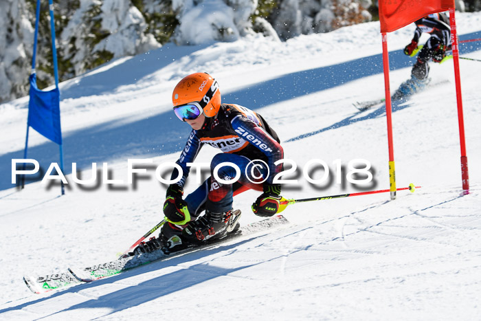 Ziener Cup WF, Finale, Quali + Parallelslalom, 24.03.2018