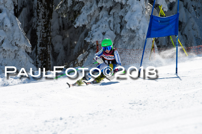 Ziener Cup WF, Finale, Quali + Parallelslalom, 24.03.2018