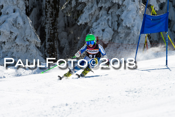 Ziener Cup WF, Finale, Quali + Parallelslalom, 24.03.2018
