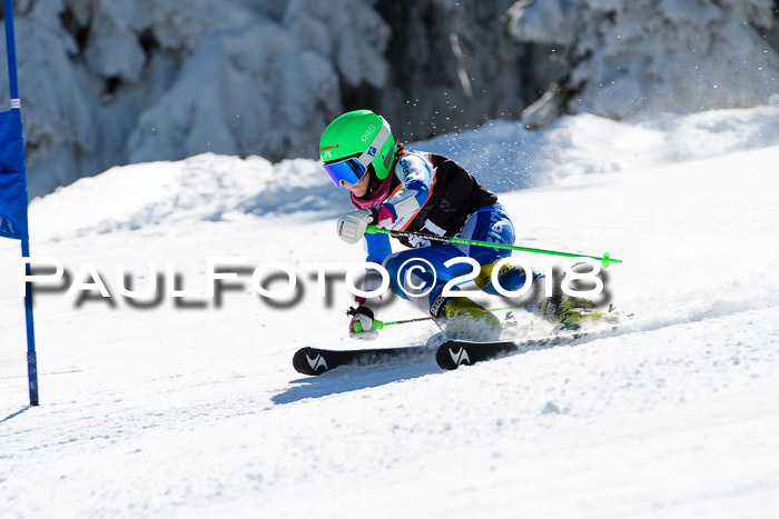 Ziener Cup WF, Finale, Quali + Parallelslalom, 24.03.2018