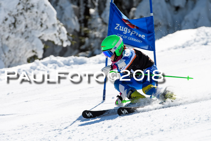 Ziener Cup WF, Finale, Quali + Parallelslalom, 24.03.2018
