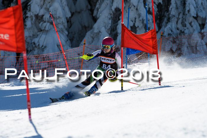 Ziener Cup WF, Finale, Quali + Parallelslalom, 24.03.2018