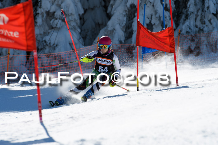Ziener Cup WF, Finale, Quali + Parallelslalom, 24.03.2018