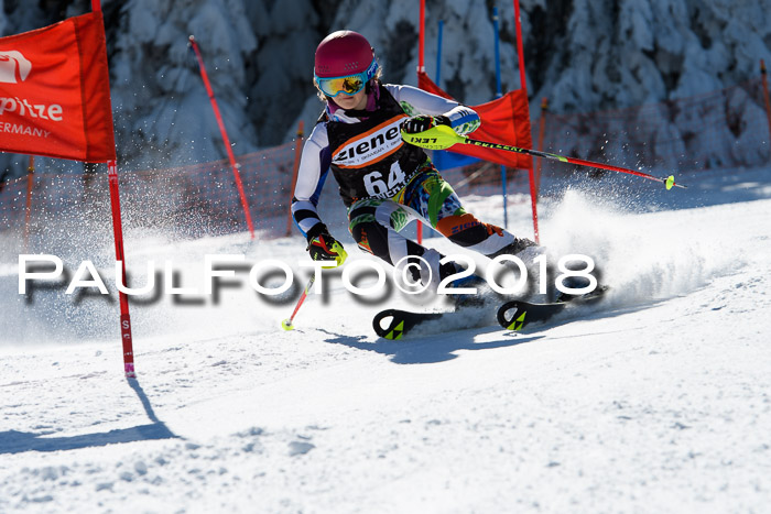 Ziener Cup WF, Finale, Quali + Parallelslalom, 24.03.2018