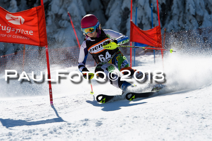 Ziener Cup WF, Finale, Quali + Parallelslalom, 24.03.2018