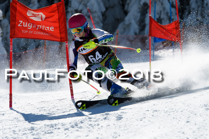 Ziener Cup WF, Finale, Quali + Parallelslalom, 24.03.2018
