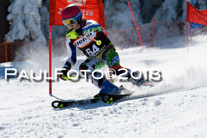 Ziener Cup WF, Finale, Quali + Parallelslalom, 24.03.2018