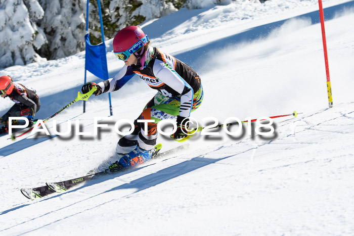 Ziener Cup WF, Finale, Quali + Parallelslalom, 24.03.2018