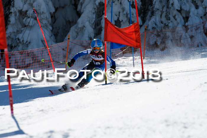 Ziener Cup WF, Finale, Quali + Parallelslalom, 24.03.2018