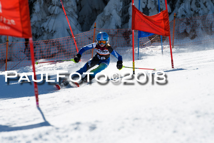 Ziener Cup WF, Finale, Quali + Parallelslalom, 24.03.2018