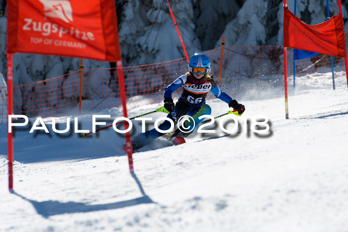 Ziener Cup WF, Finale, Quali + Parallelslalom, 24.03.2018
