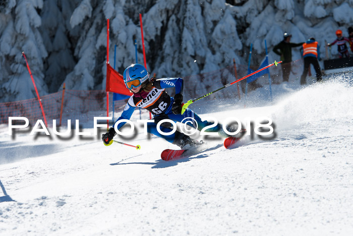 Ziener Cup WF, Finale, Quali + Parallelslalom, 24.03.2018