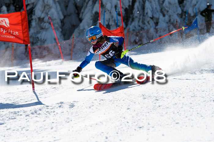 Ziener Cup WF, Finale, Quali + Parallelslalom, 24.03.2018