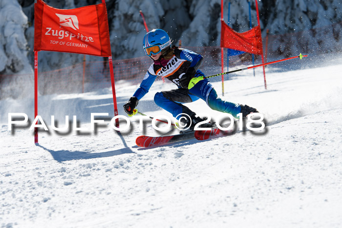 Ziener Cup WF, Finale, Quali + Parallelslalom, 24.03.2018