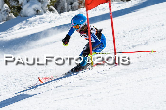 Ziener Cup WF, Finale, Quali + Parallelslalom, 24.03.2018